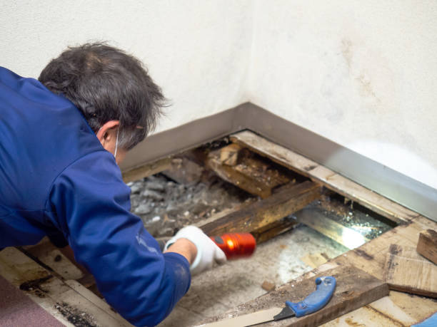 Water Damage Restoration in North Boston, NY