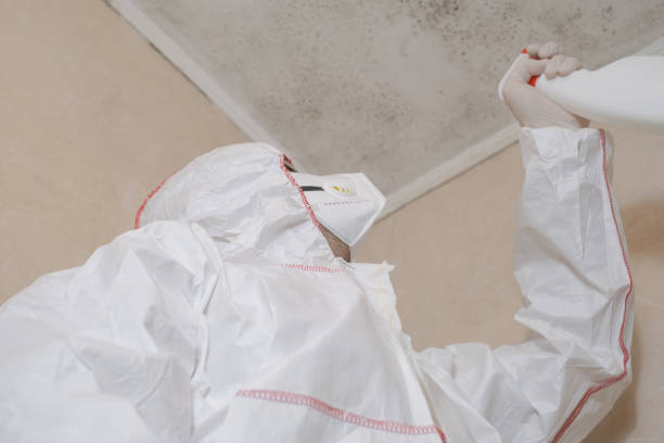 Best Attic Mold Removal  in North Boston, NY